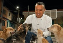 Alcalde de Quinchía impulsa acciones por el bienestar animal tras polémica por anuncio sobre perros en condición de calle