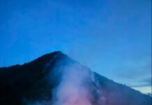 Incendio forestal en Pijao pone en riesgo importante patrimonio ambiental del Quindío