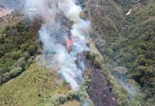Preocupación en Caldas por incendios forestales: cerca de 2.000 hectáreas afectadas
