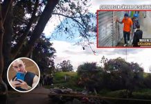Mataron a profesor que alejaba jóvenes del crimen en Bogotá: uno de los presuntos asesinos cayó el Eje Cafetero.