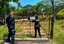 ¡Golpe al narcotráfico en el Eje Cafetero! 44 bienes de ‘los del dorado’ quedan en extinción de dominio