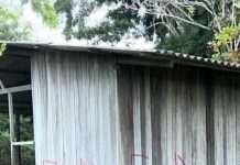 ¿Comisiones del ELN estarían ingresando a Risaralda? Esto dicen sobre posibles campamentos