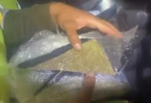 Más de 12.500 dosis de droga quedaron fuera de circulación en Risaralda